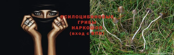амф Арсеньев